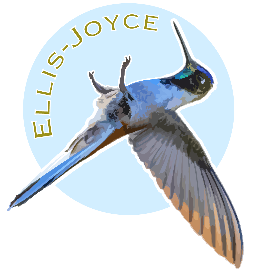 Gwendolyn and Justin Ellis-Joyce