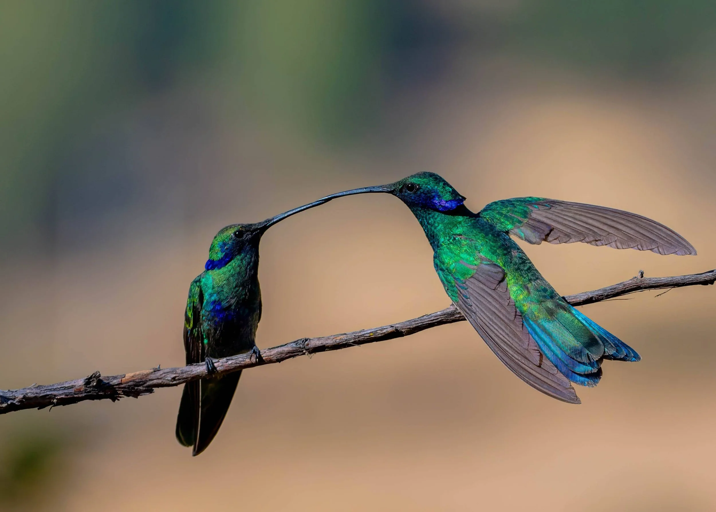 Photography highlight