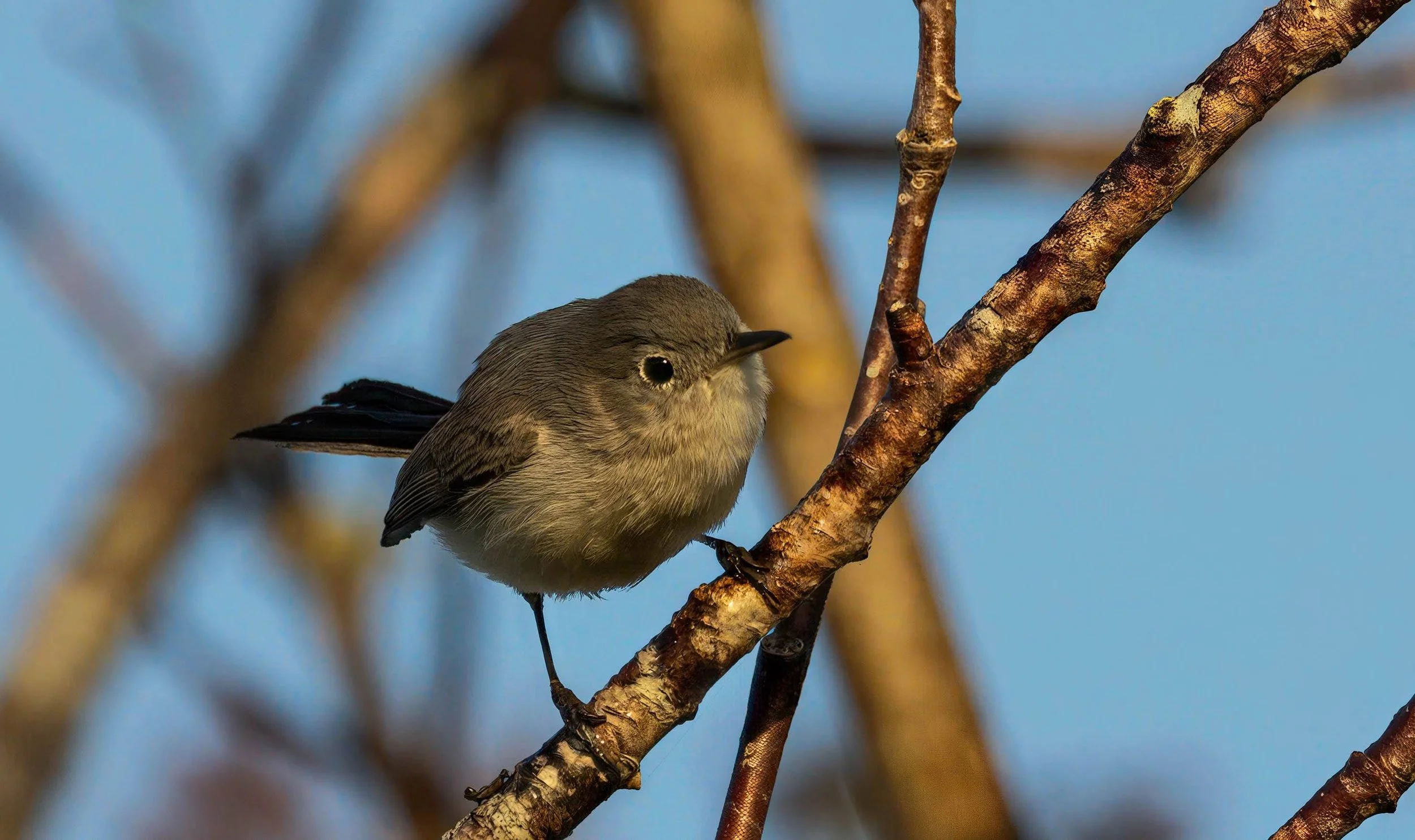 Florida 2025 highlight